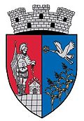 leichtes wappen nach der 2-2 aufregung.jpg