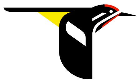 birdy.jpg
